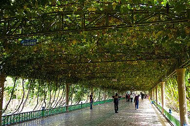 3A游戏数量减少 2024年欧洲游戏销量依然强劲